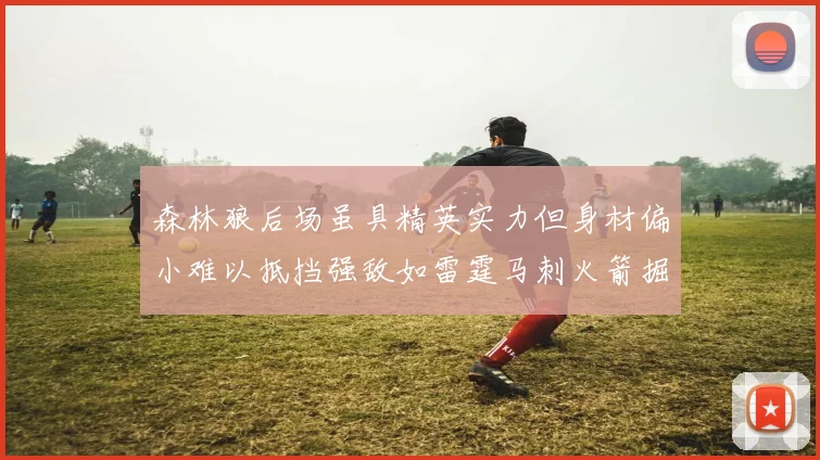 森林狼后场虽具精英实力但身材偏小难以抵挡强敌如雷霆马刺火箭掘金