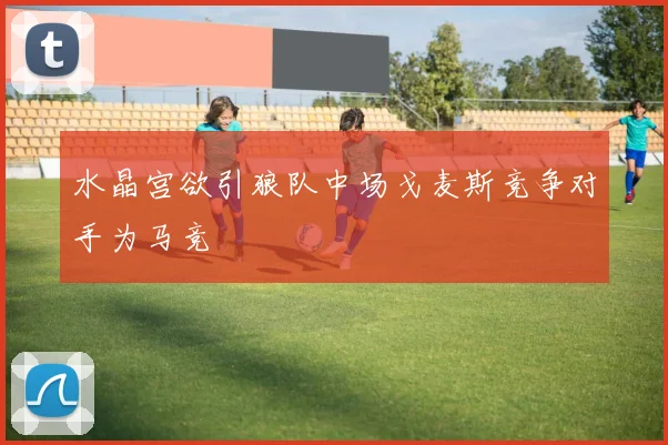 水晶宫欲引狼队中场戈麦斯竞争对手为马竞